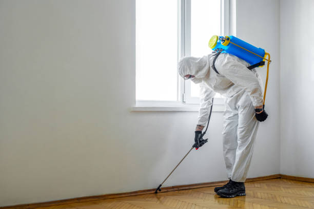 Professional Pest control in Kaibito, AZ